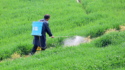 除草剂2.jpg